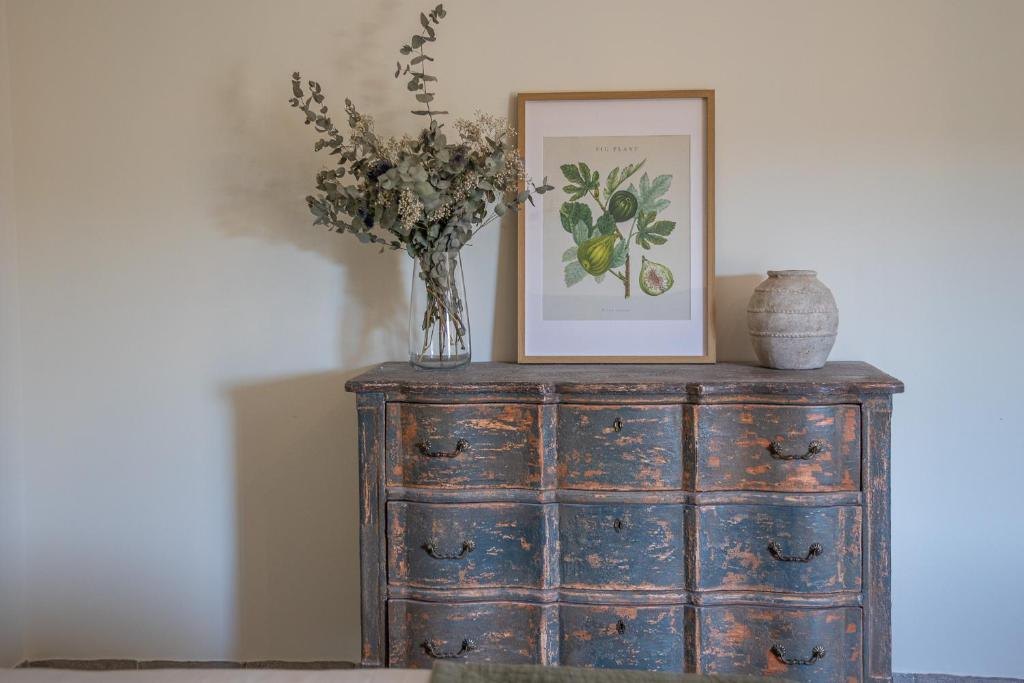 Commode ancienne avec planche botanique